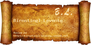 Birnstingl Levente névjegykártya